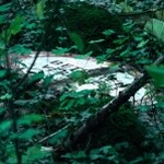 Reigen - Wanna play?